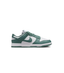 Nike Dunk Low Next Nature Bicoastal