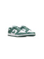 Nike Dunk Low Next Nature Bicoastal