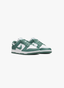 Nike Dunk Low Next Nature Bicoastal