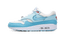 Nike Air Max 1 Puerto Rico Blue Gale