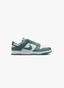 Nike Dunk Low Next Nature Bicoastal