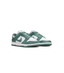 Nike Dunk Low Next Nature Bicoastal