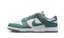 Nike Dunk Low Next Nature Bicoastal