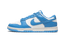 Nike Dunk Low UNC